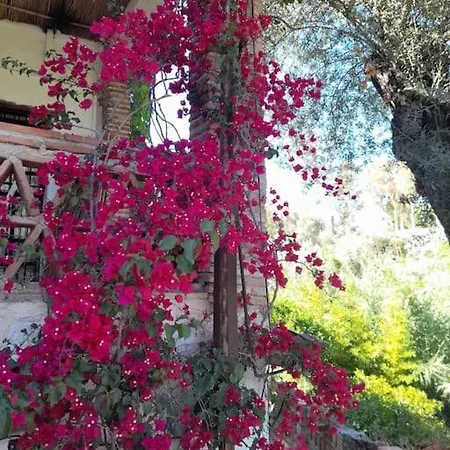Holiday home Cortijo La Acequia *